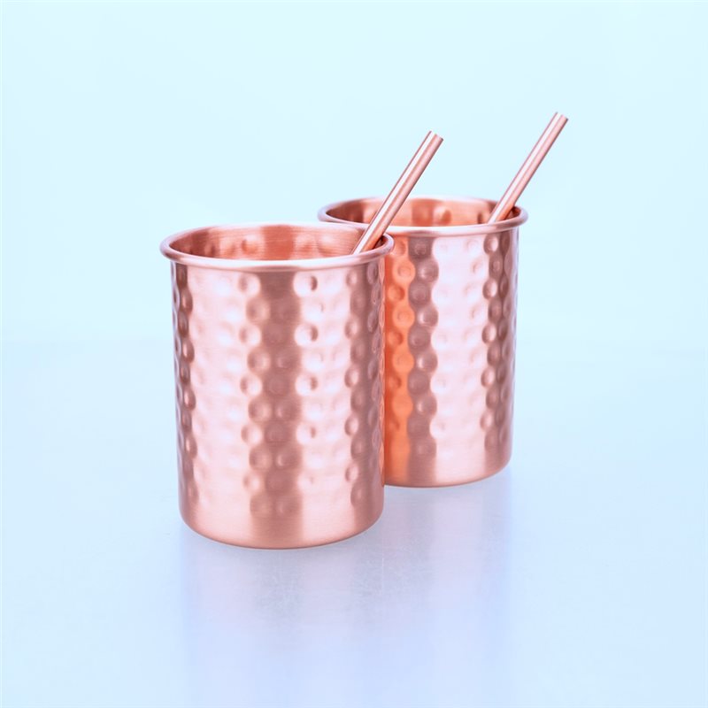 ABLU-2PC Tasse en acier inoxyd - Copper Cocktail Mug avis et prix